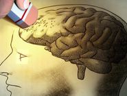 کلید پیشگیری از آلزایمر در یک مولکول ساده