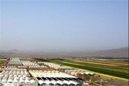 گسترش شهرک‌های کشاورزی در دستور کار دولت چهاردهم