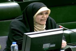 پیشنهاد یک نماینده مجلس برای رسیدگی به خشونت خانگی 