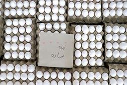 تخم‌مرغ گران شد؛ علت چیست؟
