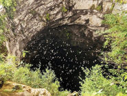 کشف غار پرستوها