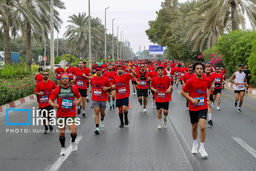 تیم‌داری یا مملکت‌داری/عرصه سیاست جای گفت‌وگو و حل‌مسئله است، نه کری‌خوانی