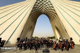 موسیقی، میدان، تاب‌آوری