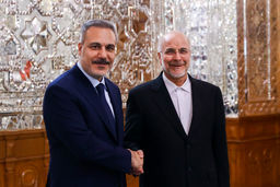 فیدان: اقدامات اسرائیل تهدید اصلی منطقه است