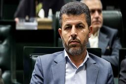 پیشنهاد نماینده مجلس: یارانه را به جای واردکننده به انتهای زنجیره که مردم هستند، بدهیم