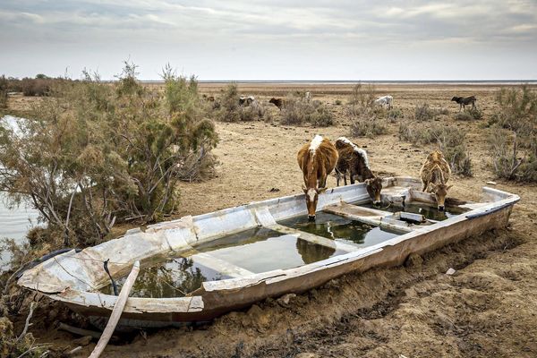 ۹۰۰ میلیون فقیر در معرض خطرات اقلیمی/بررسی گزارش برنامه توسعه سازمان ملل متحد درباره فقر و خطرات اقلیمی در سال ۲۰۲۵