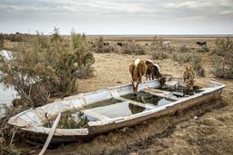 ۹۰۰ میلیون فقیر در معرض خطرات اقلیمی/بررسی گزارش برنامه توسعه سازمان ملل متحد درباره فقر و خطرات اقلیمی در سال ۲۰۲۵