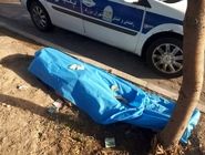 جان‌باختن عابر هنگام عقب‌رفتن در مواجهه با سگ