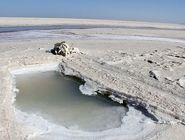 عیسی کلانتری: دریاچه ارومیه خشک نشد، خشکانده شد