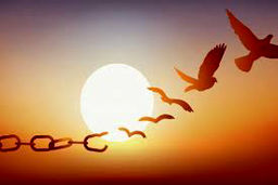 قصه نقش‌ها و آدم‌ها