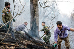 مگر خدا کمک کند/ درباره عکسی از عملیات مهار آتش‌سوزی مناطق کوهستانی روستاهای دلیر و الیت