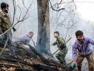 مگر خدا کمک کند/ درباره عکسی از عملیات مهار آتش‌سوزی مناطق کوهستانی روستاهای دلیر و الیت