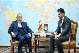 ولایتی: تغییر مرزها خط قرمز ایران است
