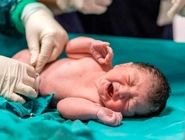 هوش مصنوعی به کمک درمان ناباروری می‌آید