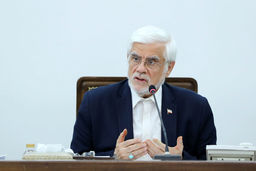 عارف: نقد بازاریان را می‌پذیریم که بازار ثبات داشته باشد