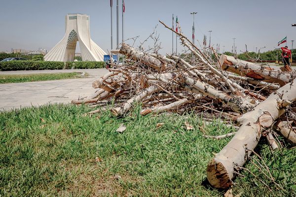 اره برقی در میدان آزادی/درباره عکسی از وضعیت اسفناک فضای سبز مهمترین میدان تهران