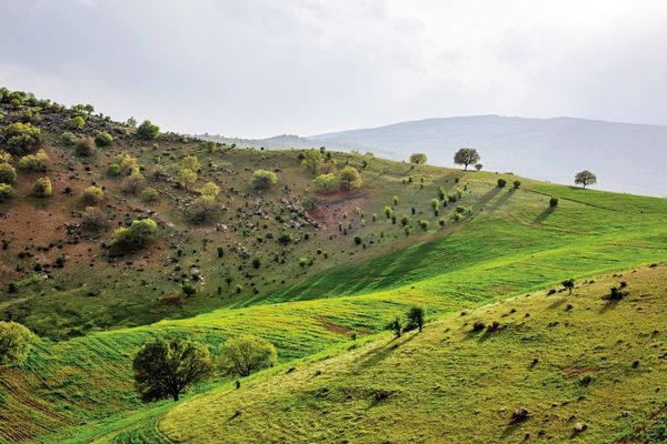 عشق پایان آدمیزادی است/ درباره عکسی از دره عشق