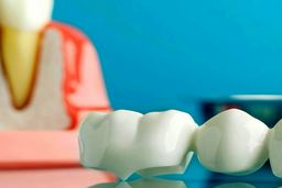 چگونه بهترین متخصص دندانپزشک را انتخاب کنیم؟