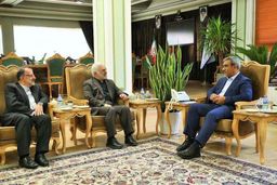 تأکید بر نقش‌آفرینی استان‌ها در دیپلماسی اقتصادی منطقه‌ای