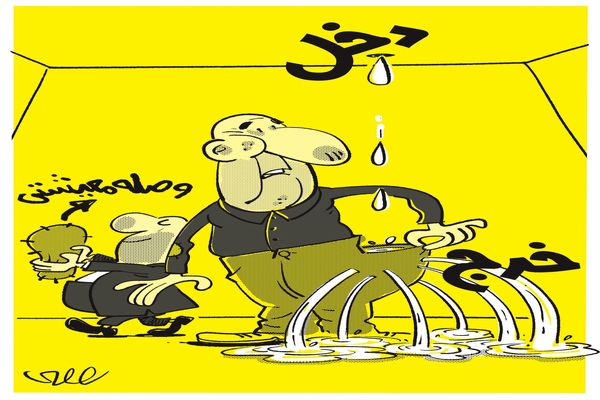 دخل و خرج/کاریکاتور محمدرضا ثقفی