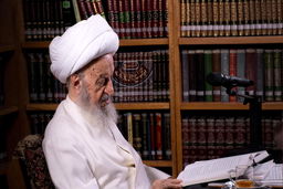 آیت‌الله مکارم شیرازی: «حقوق بشر»، بازیچه دست قدرت‌های ظالم قرار گرفته است