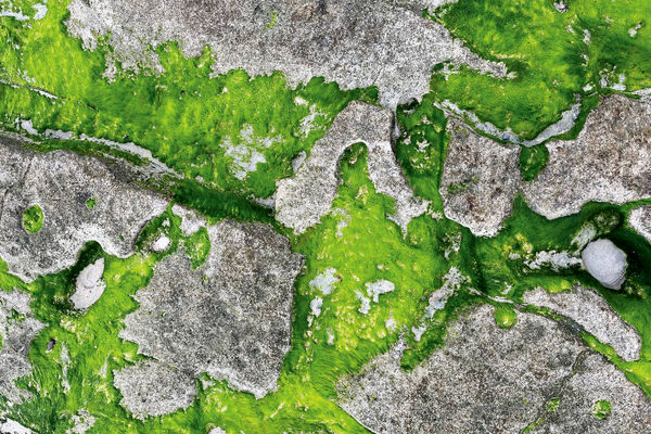 ساحل سبز/سفرنامه ابوموسی «قسمت سوم»