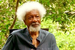 لغو ویزای وله سوینکا 