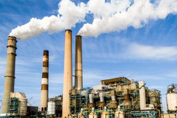 نان زمستان را در تابستان ذخیره کردیم 