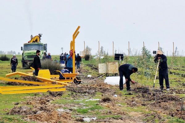 واکنش به ورود 30 تریلی به میانکاله و شروع پروژه پتروشیمی/ پاسخ پر ابهام خانم رئیس