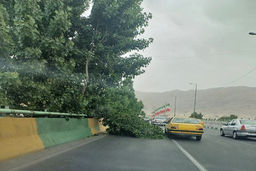 هشدار؛ وزش باد شدید و گردوخاک در تهران/ شکستن درختان در کرج