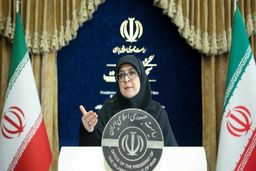 مهاجرانی: ما محرم‌تر از مردم نداریم/ در حادثه بندرعباس احتمال خرابکاری تا الان رد شده است