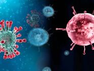 پنجمین مرگ قطعی ناشی از آنفلوآنزا ثبت شد
