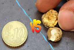 طلای آب شده بخریم یا سکه؟ کدام بهتر است؟